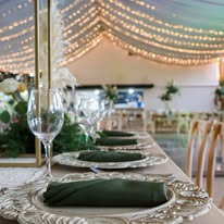 Pareja de novios con pirotecnia fría en el jardín